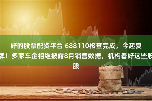 好的股票配资平台 688110核查完成，今起复牌！多家车企相继披露8月销售数据，机构看好这些股
