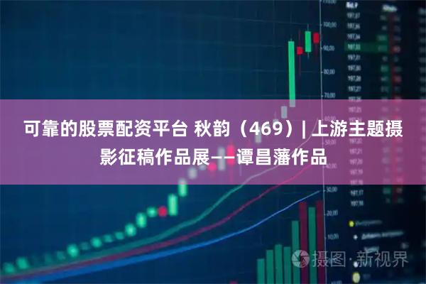 可靠的股票配资平台 秋韵（469）| 上游主题摄影征稿作品展——谭昌藩作品