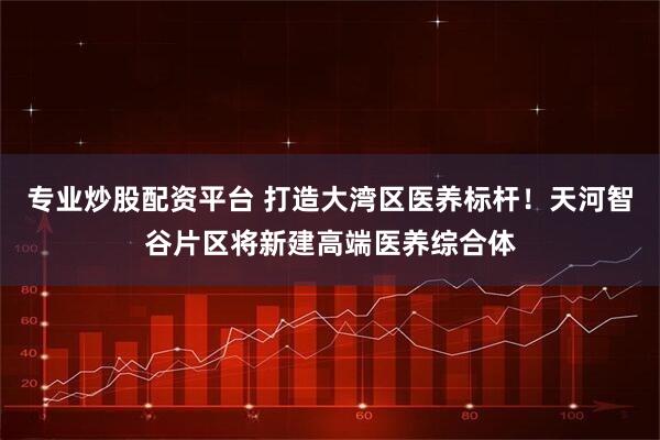 专业炒股配资平台 打造大湾区医养标杆！天河智谷片区将新建高端医养综合体